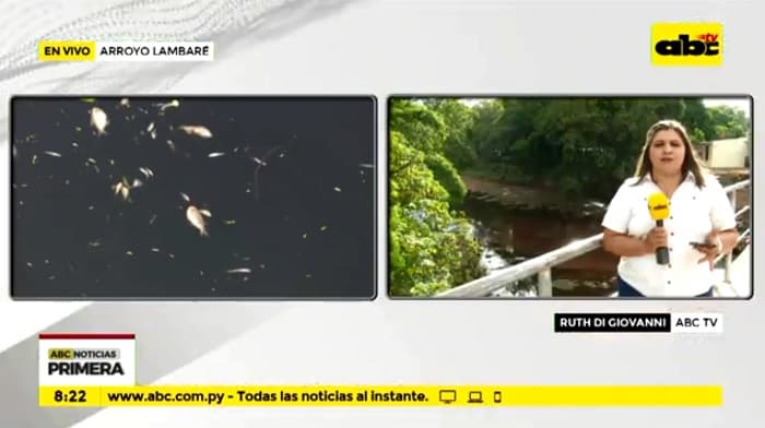 Contaminación del arroyo Lambaré genera gran mortandad de peces