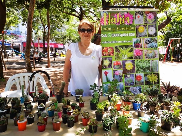 Asunción colmada de ferias y atractivos