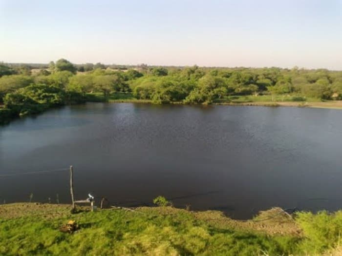 Joven muere ahogado en un tajamar