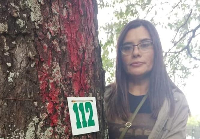 Instan a fotografiarse con árboles que serán derribados en el Botánico