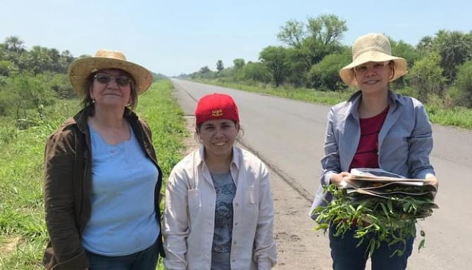 Científicas paraguayas son galardonadas por trabajo sobre el tereré