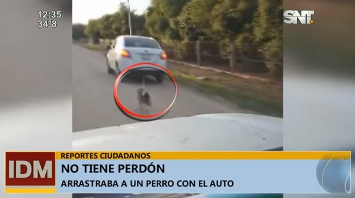 Video: Mujer es captada arrastrando con su vehículo a un perro