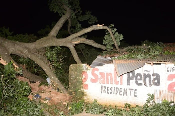 Añoso árbol aplasta vivienda