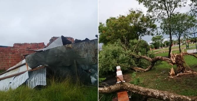 Temporal causa severos daños en el sur