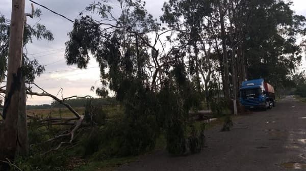 Temporal afecta a varias viviendas en Guairá