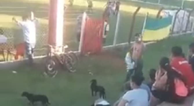 Futbolista expulsado patea un perro antes de retirarse