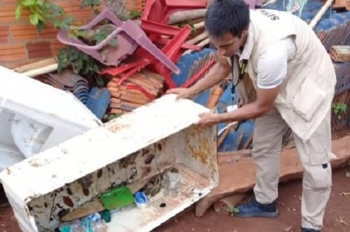 Hay más de 50 casos de dengue, confirma ministerio