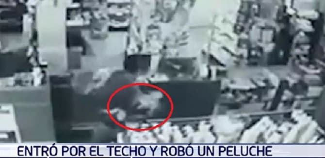 Joven hurta peluche y una cartera en vísperas del Día de los Enamorados