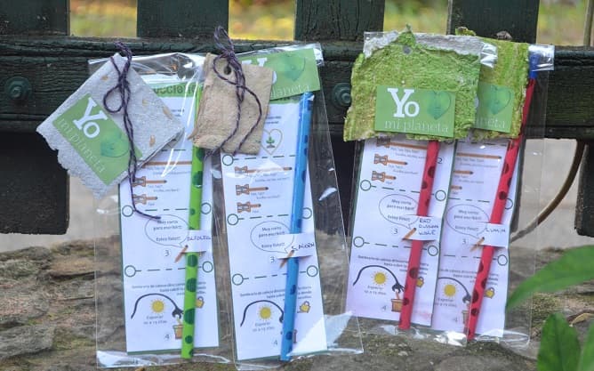 Joven madre elabora lápices ecológicos plantables