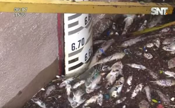 Inédita crecida no se da hace casi medio siglo