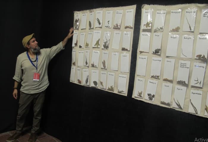 Artista paraguayo presenta obra en Bienal de la Habana