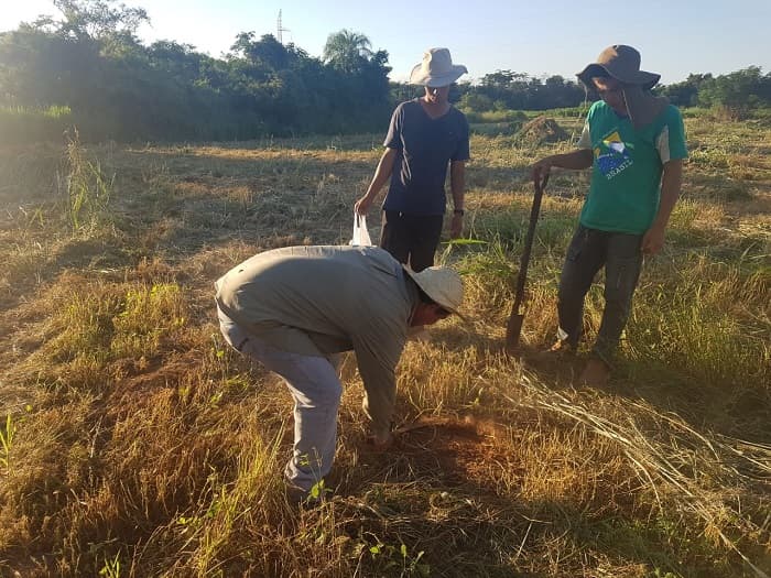 Buscan fortalecer escuelas agrícolas con nuevo proyecto