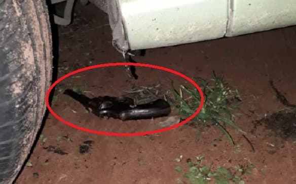 Muere hincha baleado en enfrentamiento