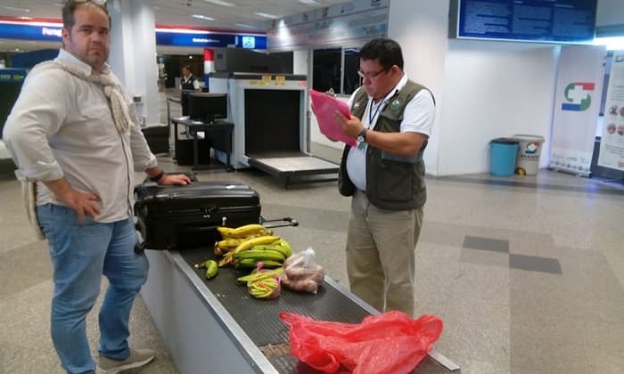 Incautación de Senave desata burlas en redes sociales