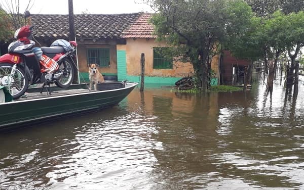 Cámara Alta aprueba declaración de emergencia de Ñeembucú