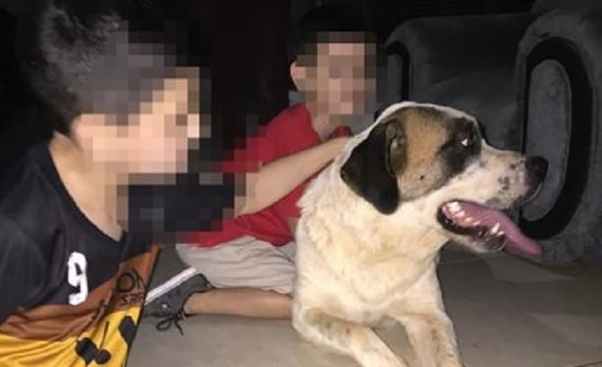 Agente Geo devuelve mascota de Cucho