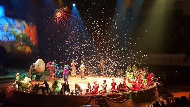 OVO, un ecosistema encantador