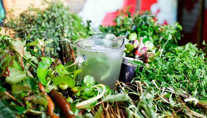 Admiten candidatura del  tereré y pohã ñana a lista del Patrimonio de la Humanidad