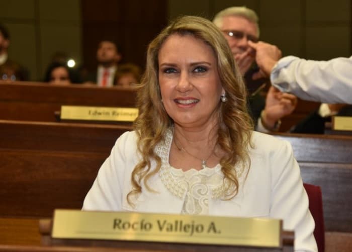 “Le sacaron el corazón” a ley de financiamiento, asegura diputada