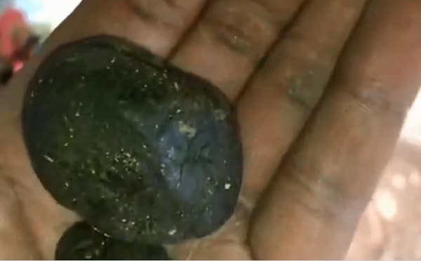 Incautan importante cantidad de marihuana mentolada