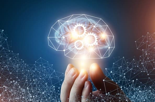 Buscan expandir conocimientos sobre neurociencia