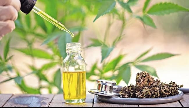 Senado aprueba uso medicinal de cannabis