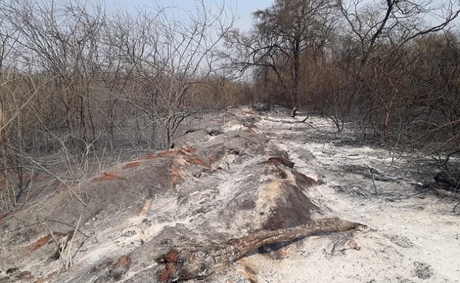Pronostican bajo nivel de precipitaciones en el Chaco