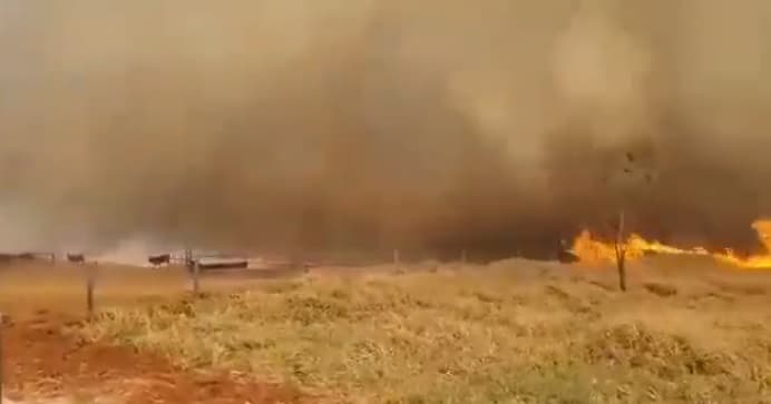 Coordinador de la SEN asegura que incendios están controlados