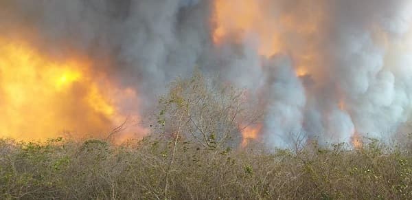 Incendios se descontrolan en cercanías del Chovoreca