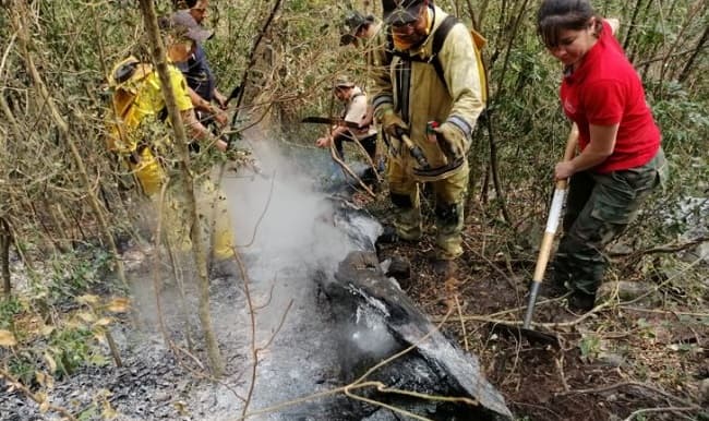 Detectan ocho focos de calor en reserva del norte del Chaco