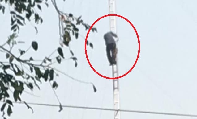 Hombre sube a antena de Senadis