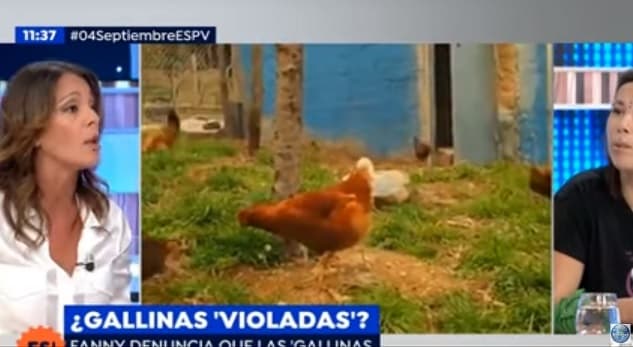 Continúa la polémica de las “gallinas violadas”