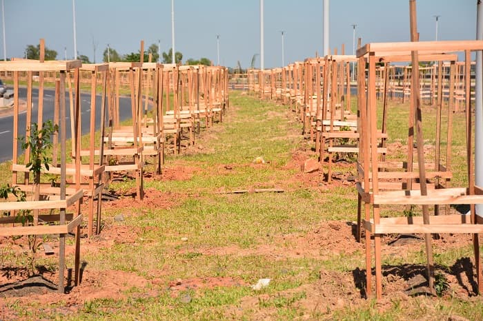 10 postales del “corredor verde” en la Costanera Norte