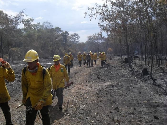 Comuna asuncena busca recaudar cobrando a bomberos por desfile