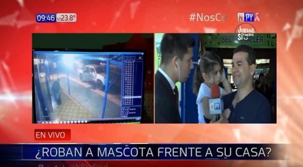 Ni los cachorros se salvan de los robos