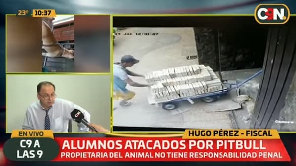 Propietaria de pitbull agresor no será imputada, dice fiscal