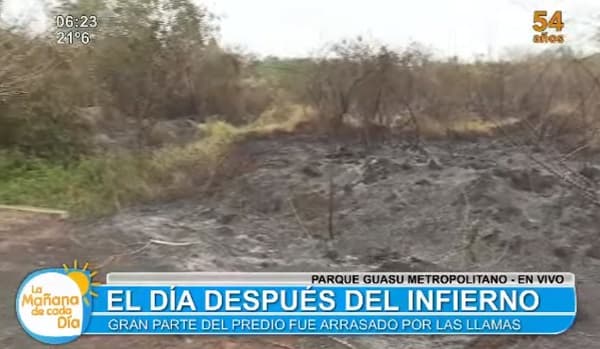 Incendio consumió alrededor de 30 hectáreas en el Parque Guasu