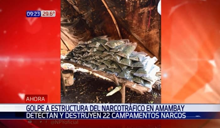 Agentes de la Senad desbaratan 22 campamentos de narcos en el norte