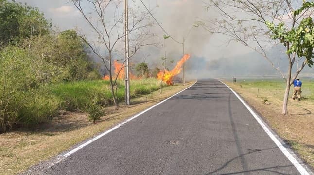 Fuego es incontrolable en el Parque Guasu