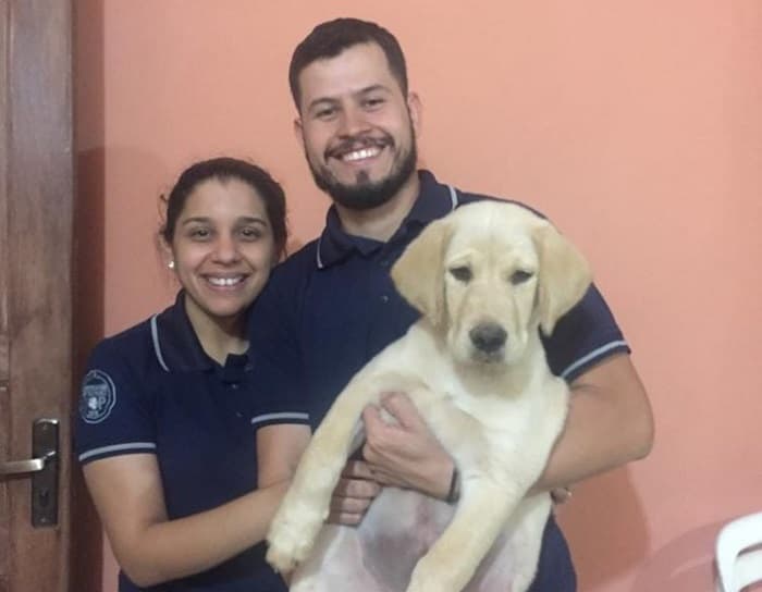 Perro raptado en Luque se reencuentra con su familia
