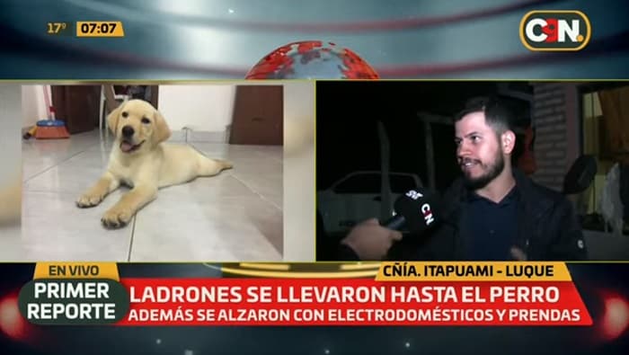 Delincuentes roban hasta la mascota de un joven en Luque