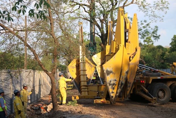 10 postales de la “mudanza” de árboles en el Botánico