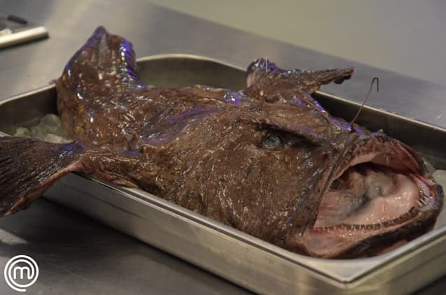 Una rara especie causa estragos en MasterChef Profesionales