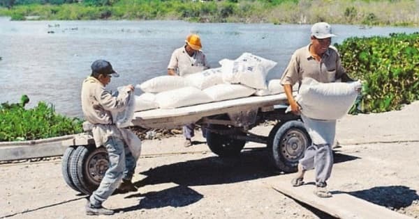 Trabajador muere víctima de máquina trituradora