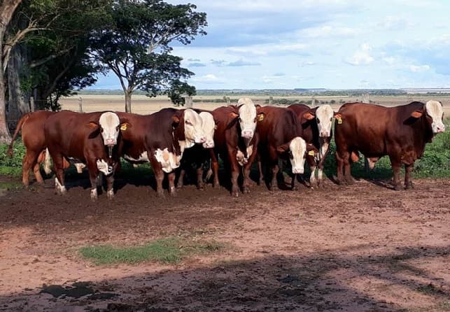 Buscan mejorar ingresos de pequeños productores