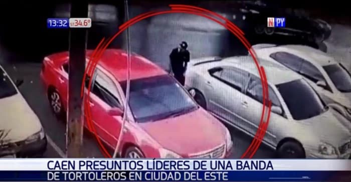 Capturan a tortoleros chilenos en Ciudad del Este