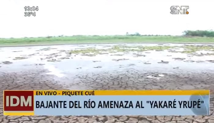Bajante del río Paraguay pone en peligro al Yakaré Yrupé