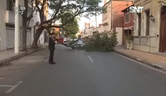 Árbol caído obstaculiza tránsito en pleno microcentro