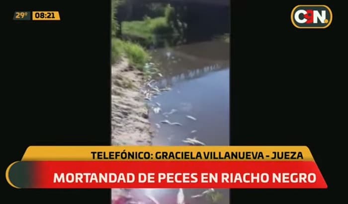 Denuncian mortandad de peces en afluente del río Paraguay