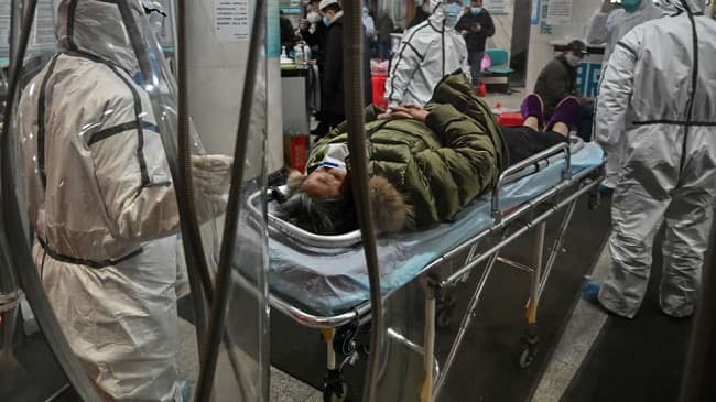 El arenavirus está presente en Brasil, pero es menos contagioso que el coronavirus